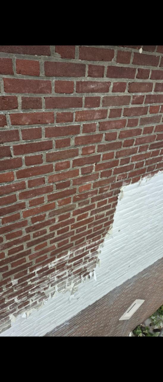 Wilt uw huis of tuin ook weer blinkend hebben? reiniging