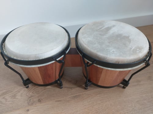 Bongo