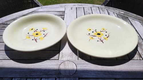 Set van 2 vintage Franse schalen Salins servies Catherine
