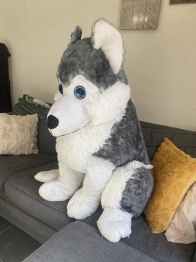 Reuze knuffel Husky