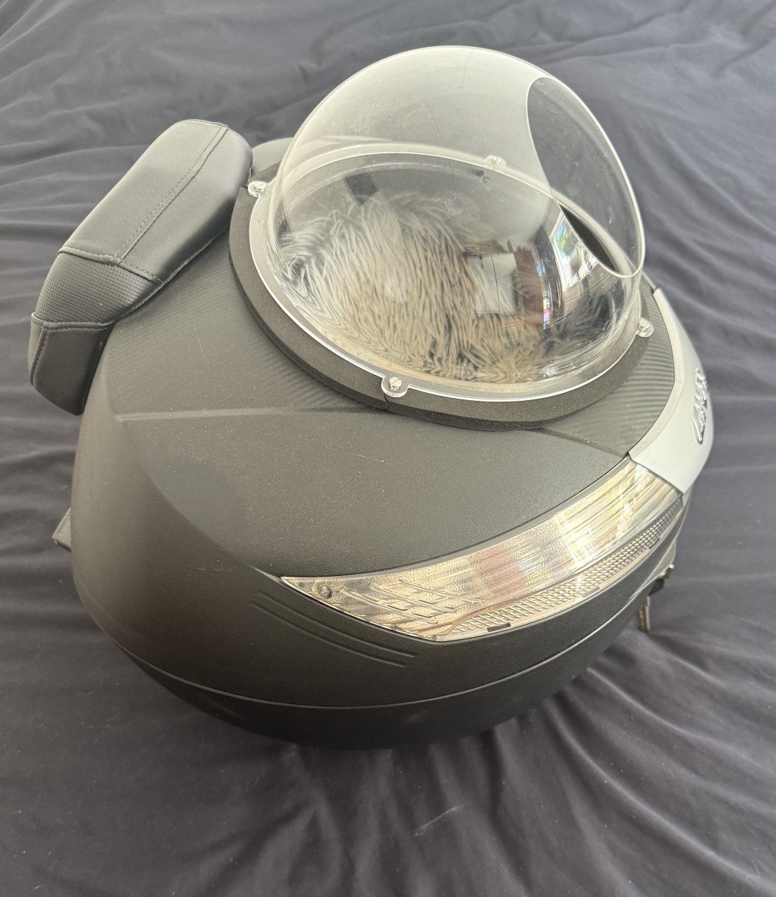 Motor top koffer Givi voor kleine hondje