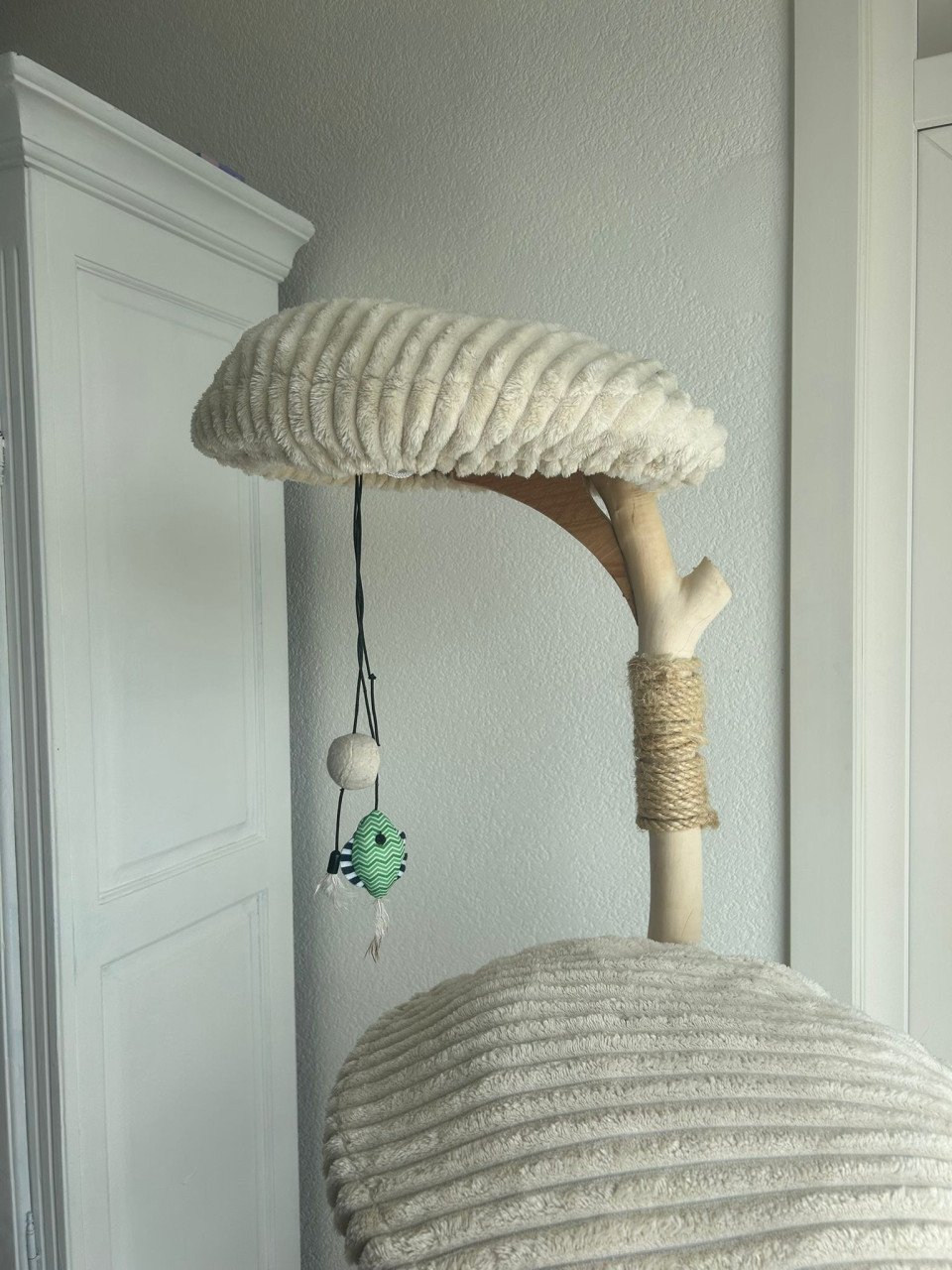 Klimpaal kat