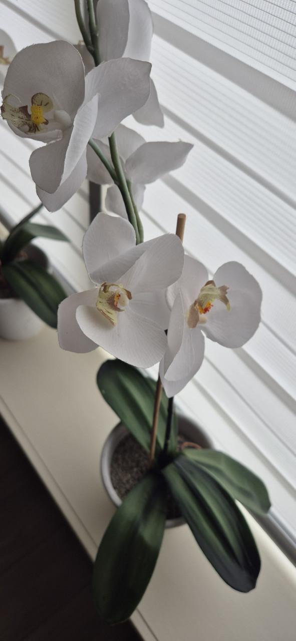 Orchidee kunstbloem wit