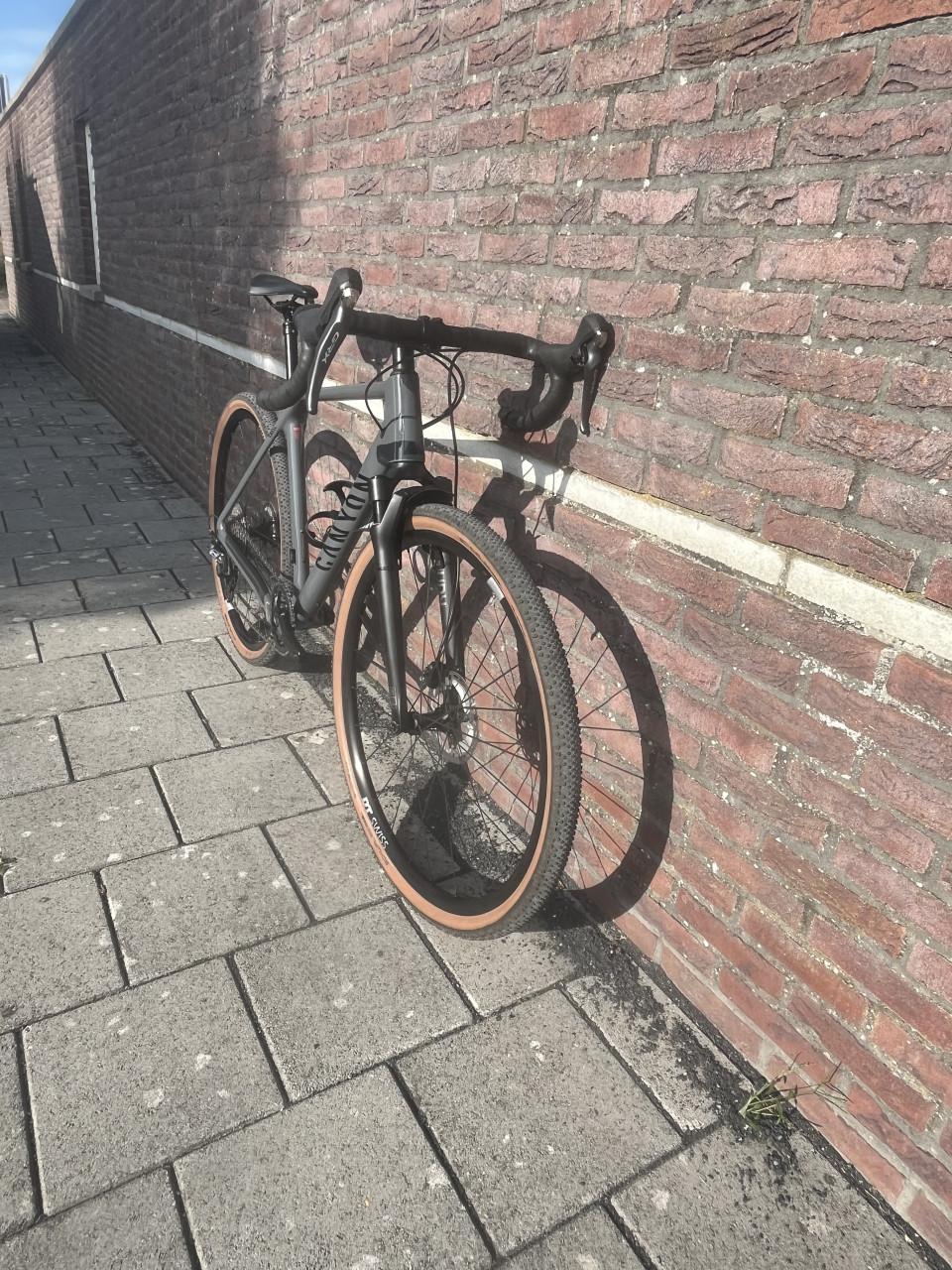 Canyon Grizl CF SL 8 trail