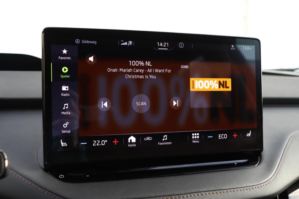 Skoda Enyaq Iv 80 limited edition plus 204pk