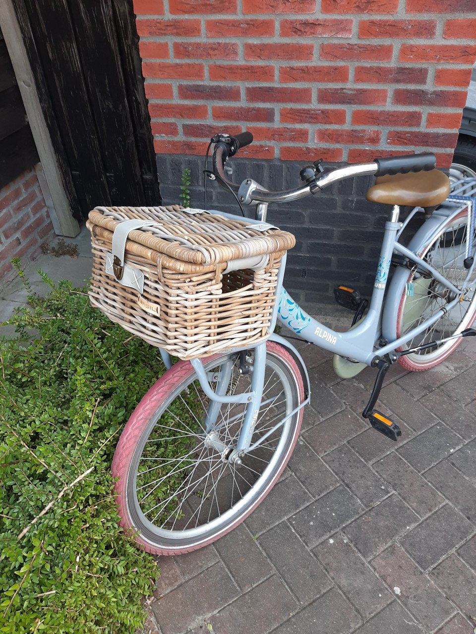 Alpina meisjesfiets 24 inch