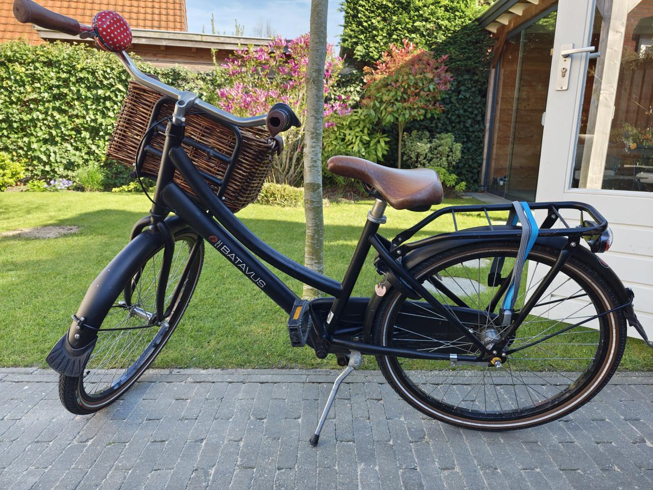 Batavus Amigo 24 inch meisjesfiets