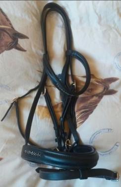 Kieffer hoofdstel nieuw