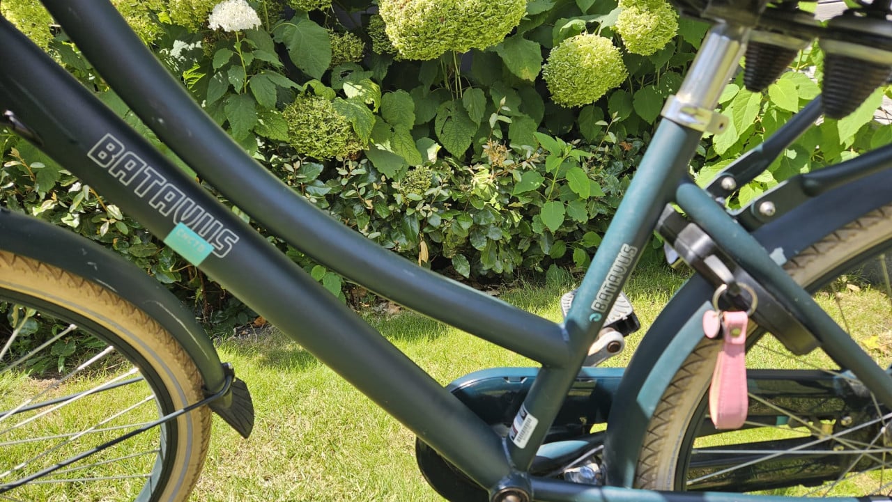 Meisjesfiets, 24 inch, Batavus