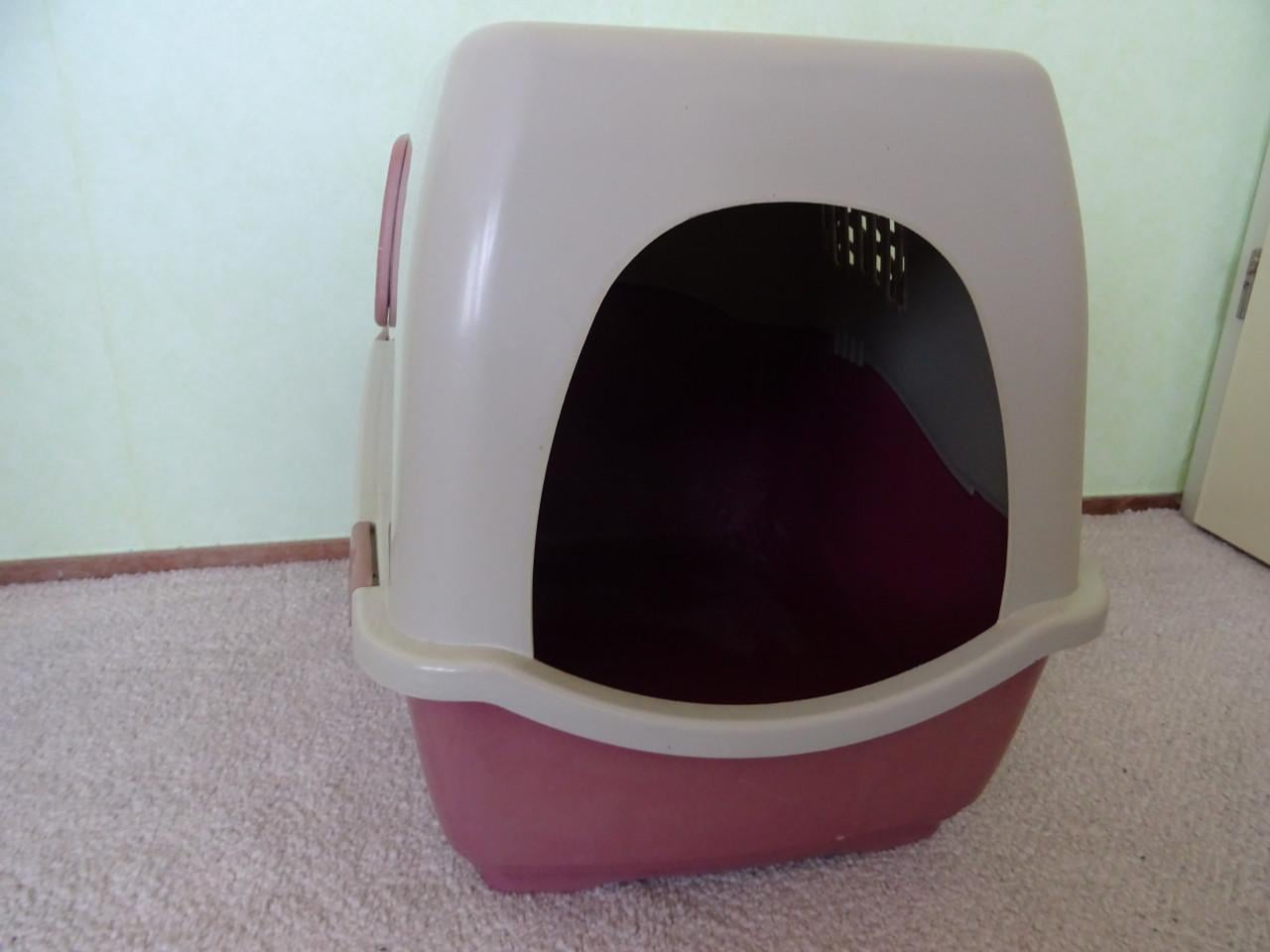Kattenbak