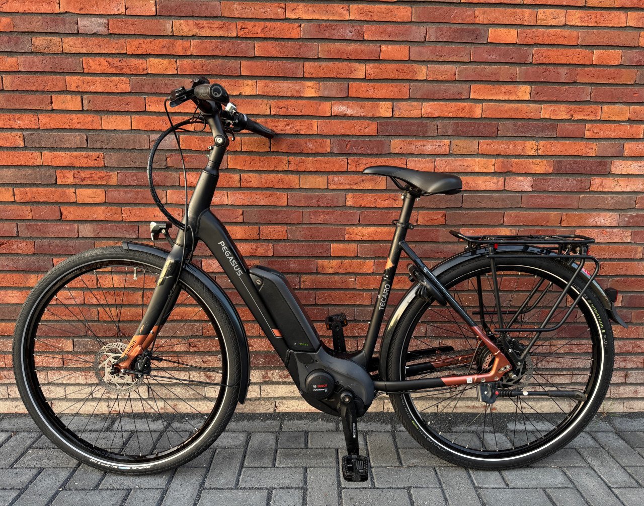 Prachtige ZGAN Pegasus Tecaro Bosch Performance CX Belt 500WH
