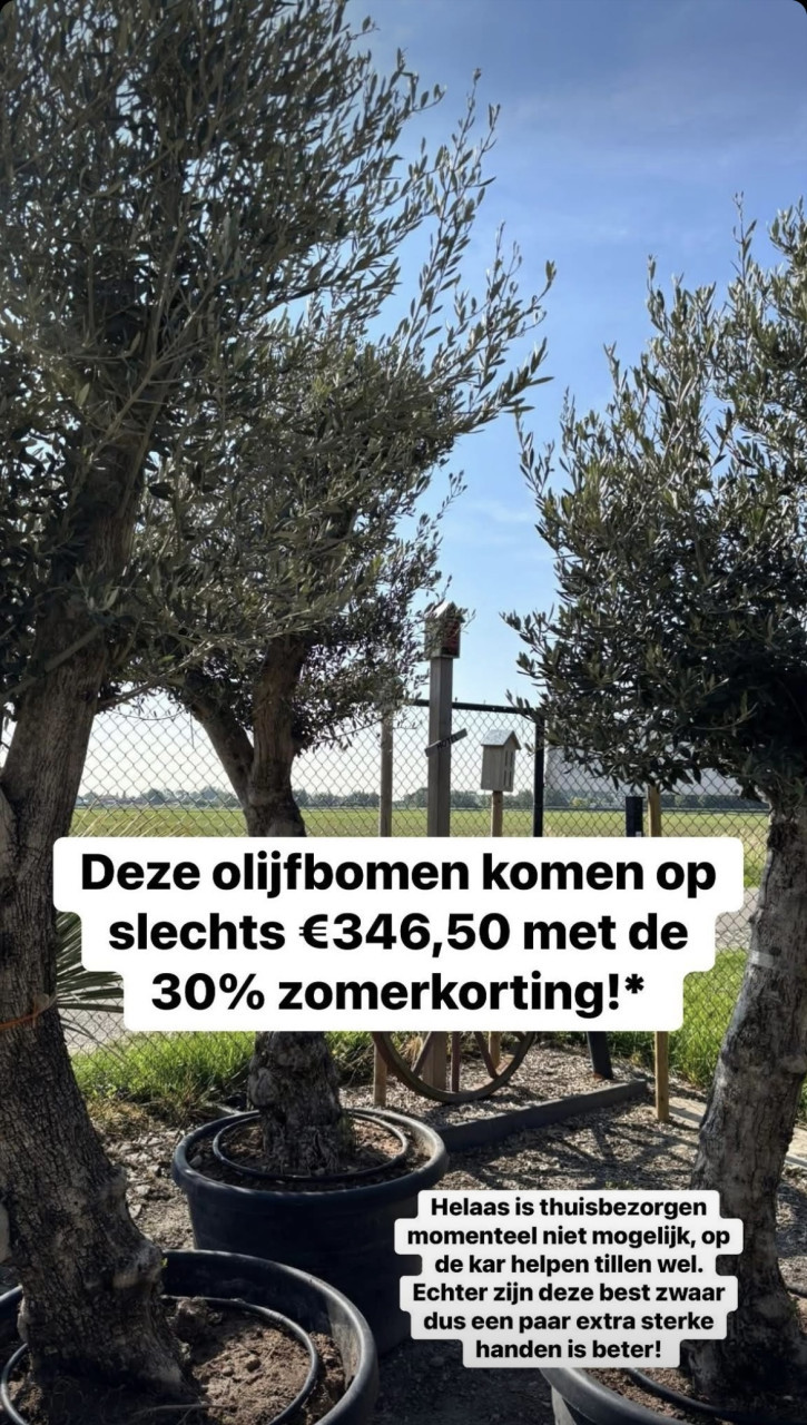 AANGEPASTE OPENINGSTIJDEN + zomerkorting -30 %