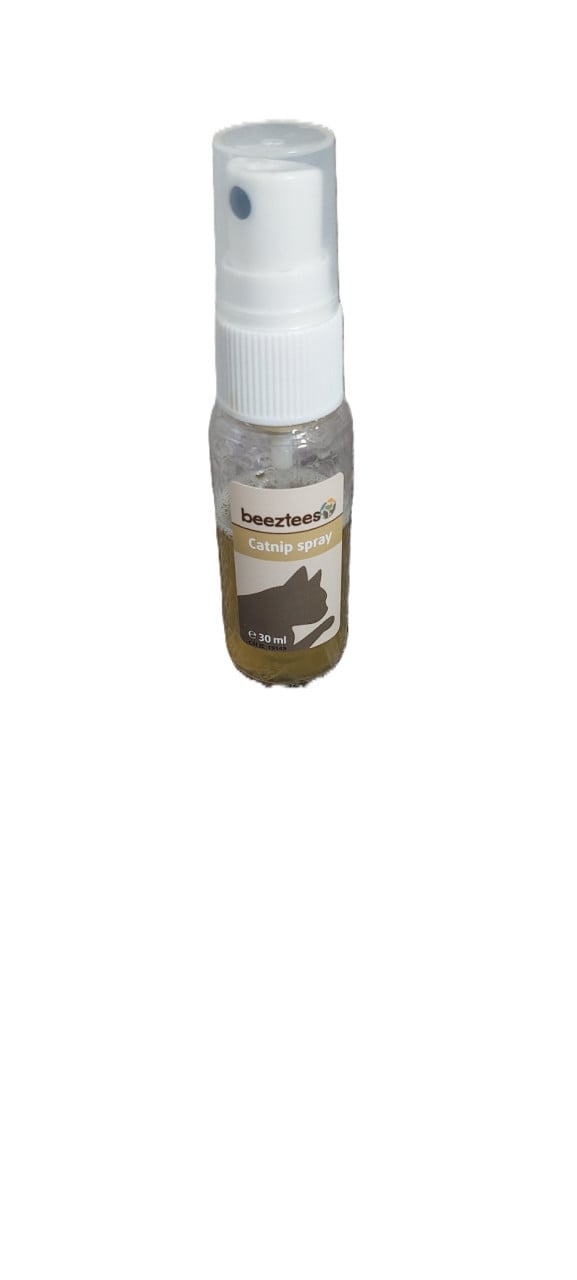 Katten-poezen benodigdheden in 1 koop