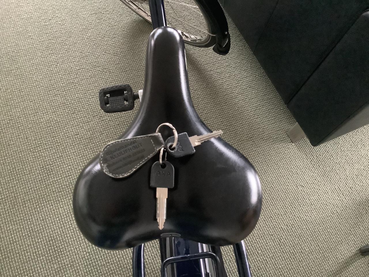 Keurige Batavus Holiday