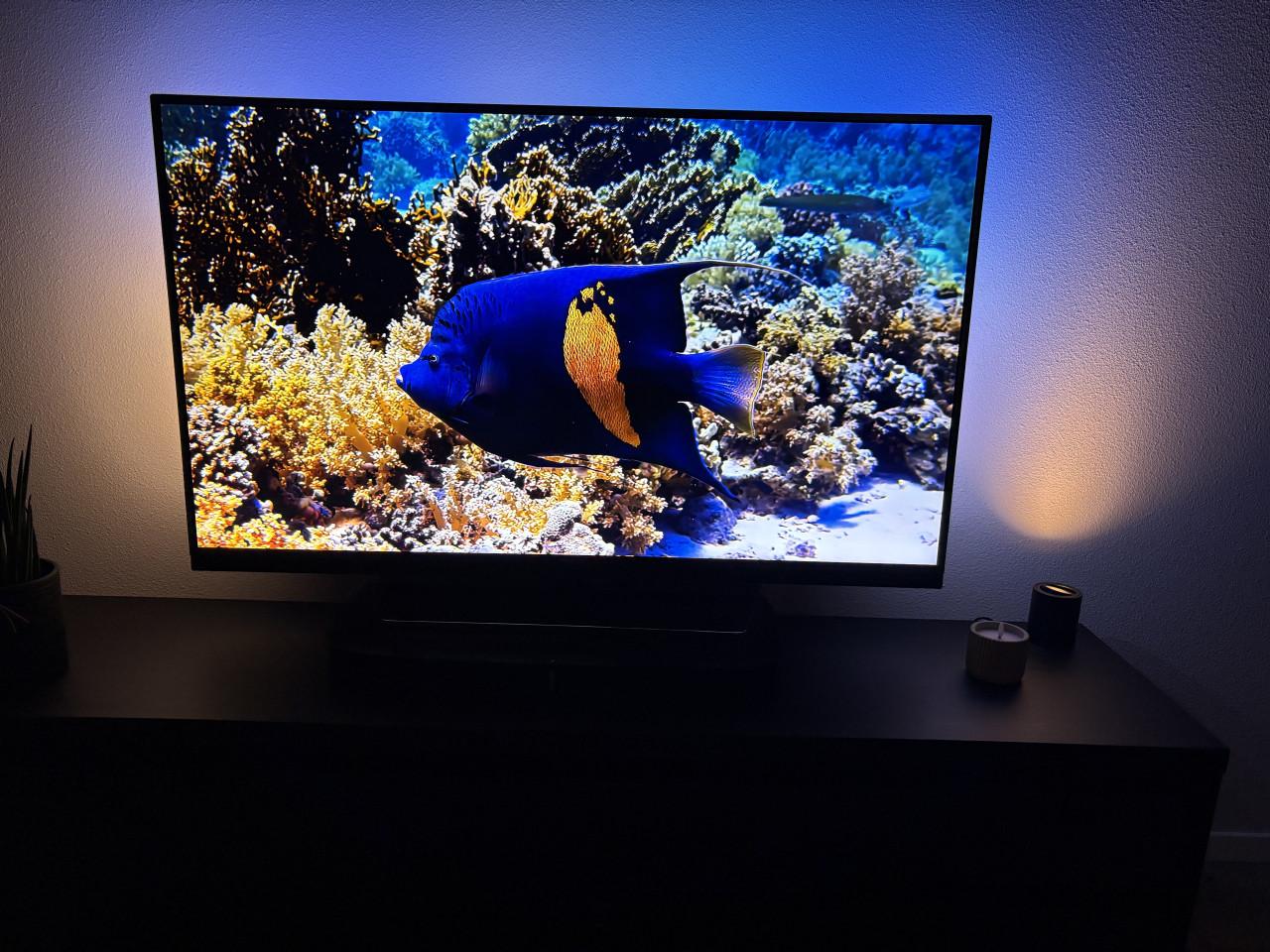 Philips SmartTV 55 inch met Ambilight
