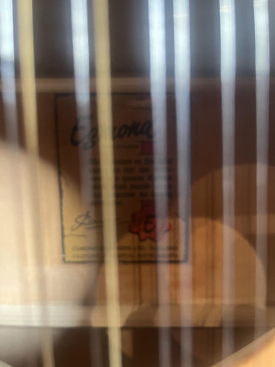 Egmond 12-String – Made in Holland – (Serienr. 31080018)