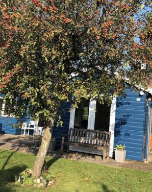 Vakantiewoning  Te Huur vlakbij bos en zee in Oostkapelle