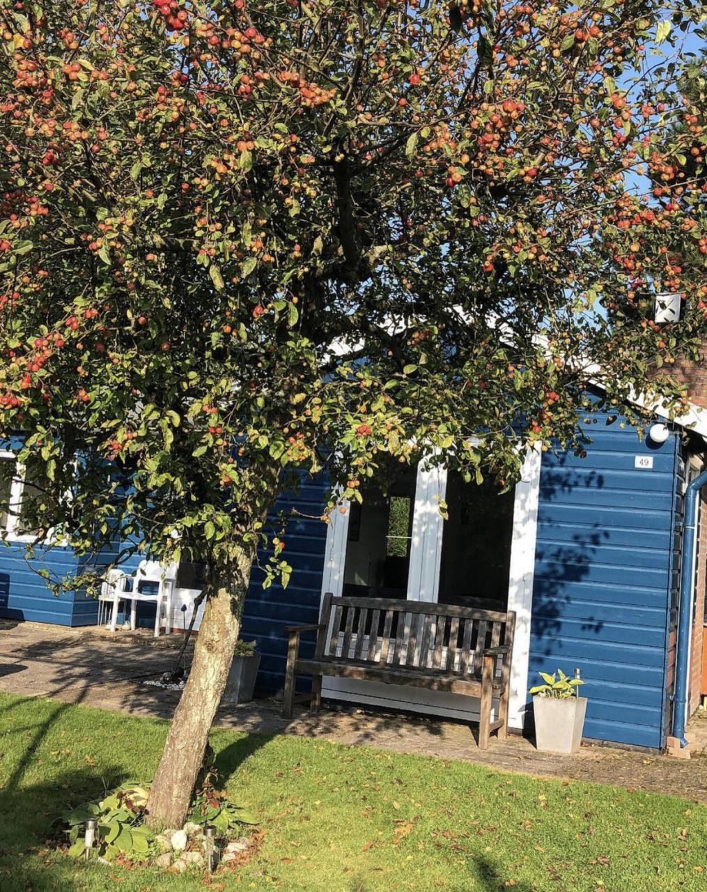 Vakantiewoning  Te Huur vlakbij bos en zee in Oostkapelle