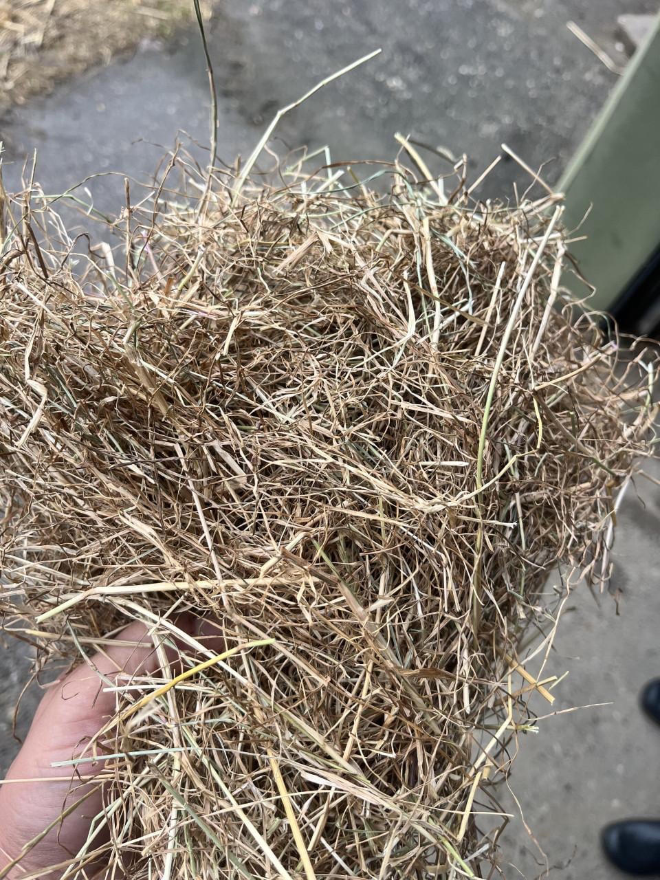 Engelsraai graszaadhooi