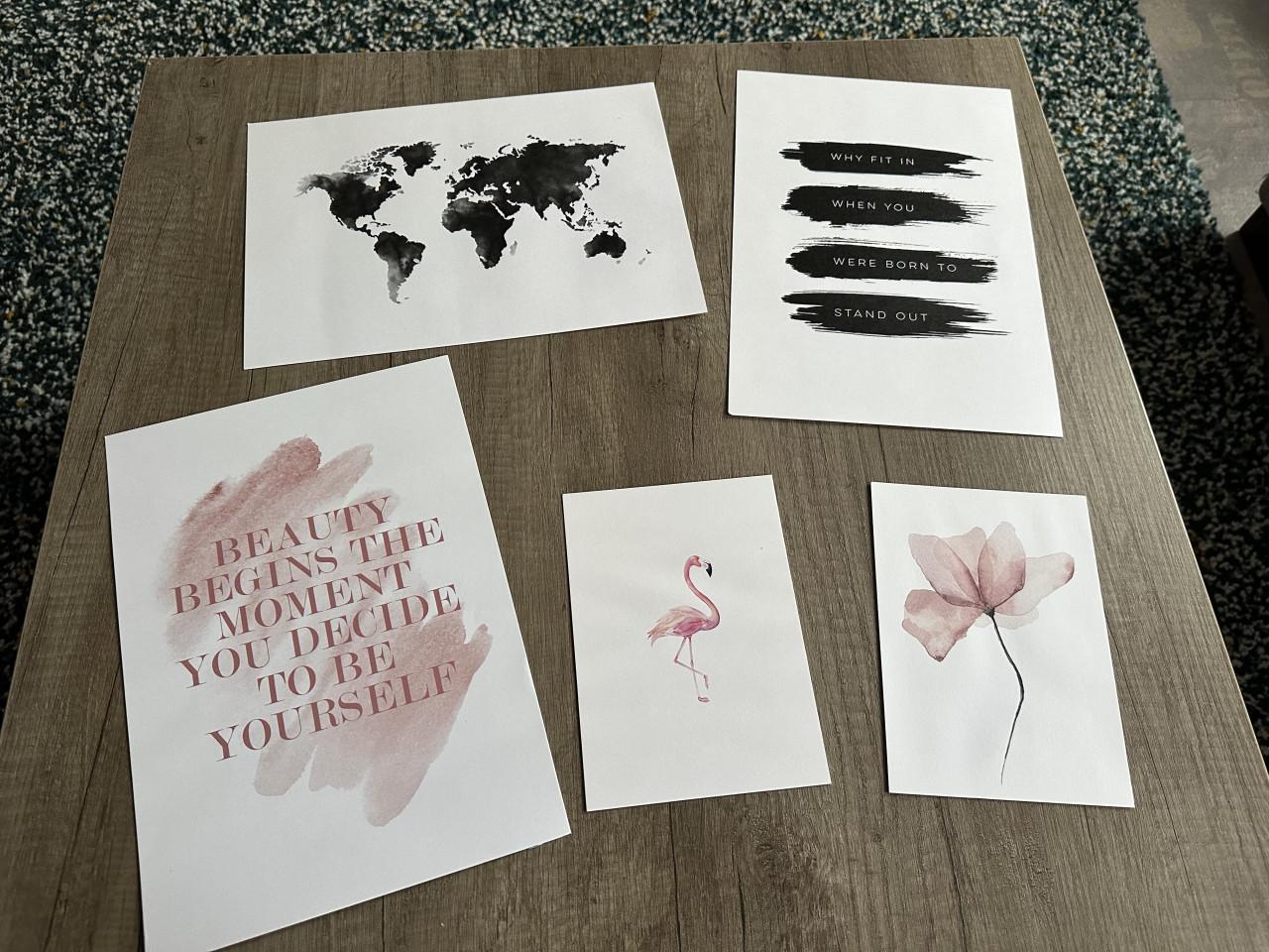 Vijf posters (wereldkaart, flamingo, bloem en quotes)