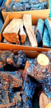 Appelboomstobben/beuken-/perenhout