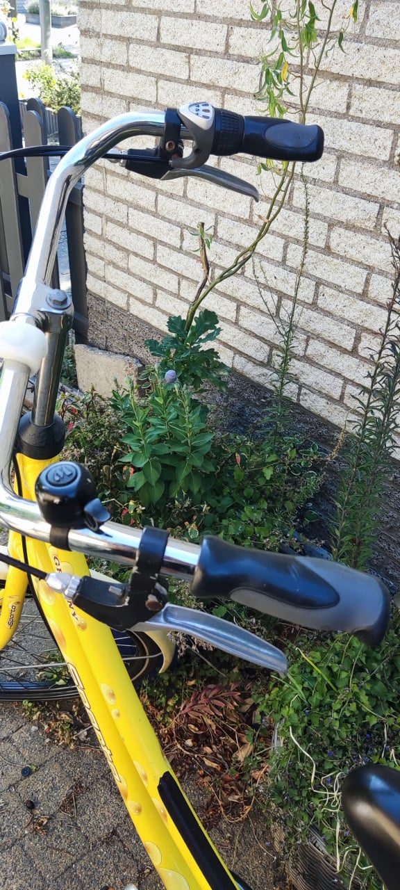 Goede schoolfiets - opoe fiets / omafiets / kaasfiets - frame 53