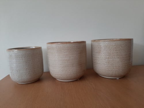 Set van 3 bloempotten
