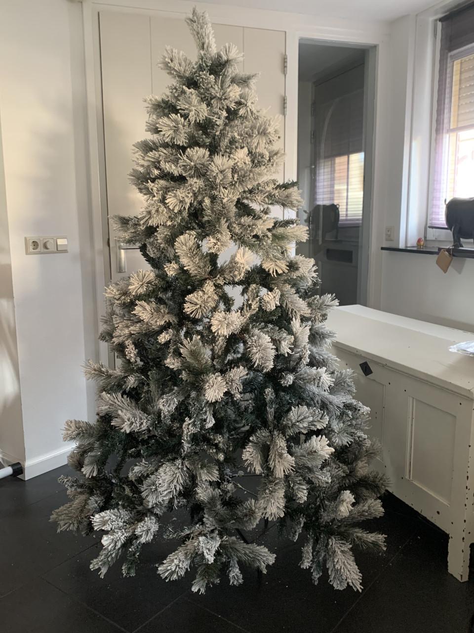 Kerstboom met sneeuw . Intratuin