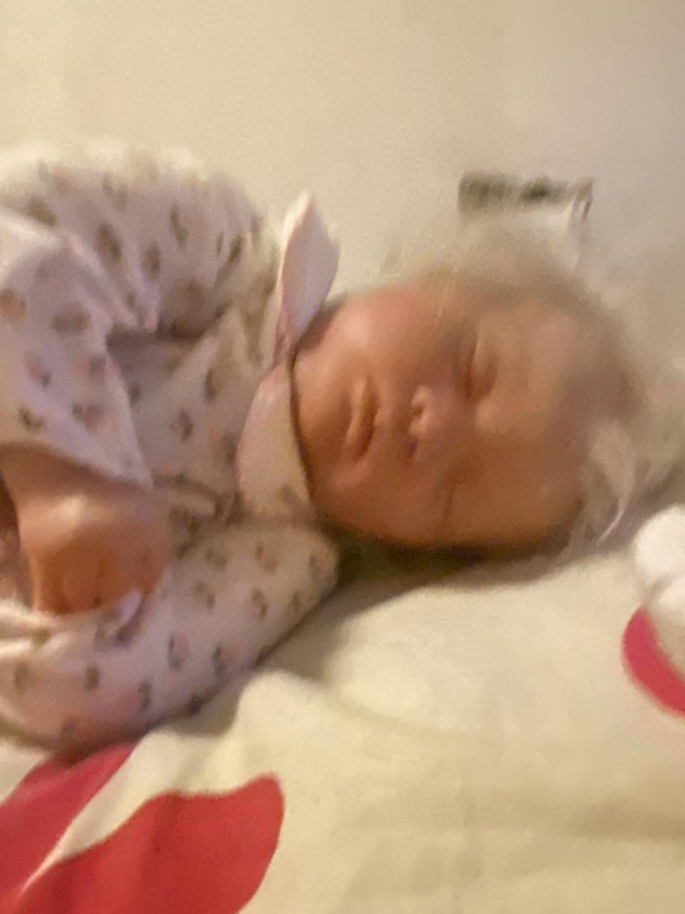 30 reborns voor 500euro