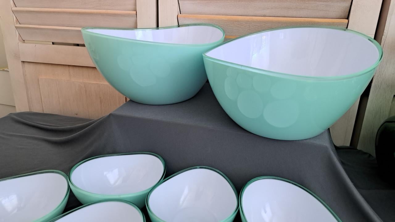 2 mooie saladeschalen en 9 dessertschalen