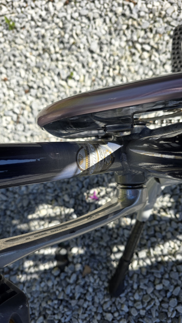 Gazelle Provence herenfiets framemaat 57