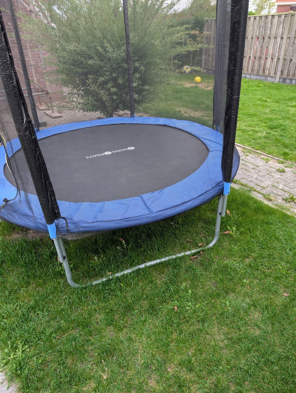 Trampoline