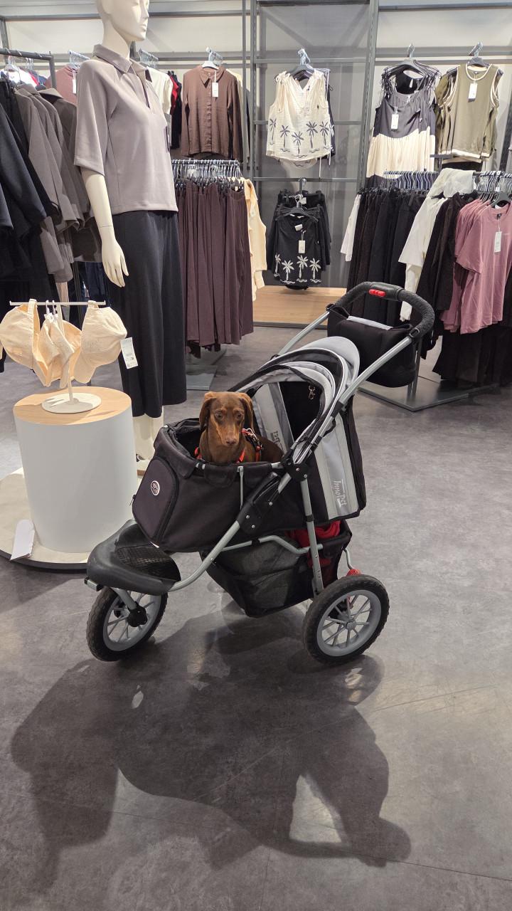 Innopet Comfort HondenBuggy Max:25kg