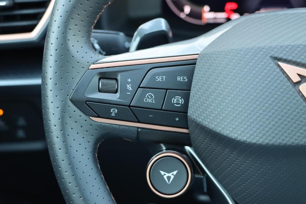 Cupra Formentor 1.5 tsi e-hybrid business 204pk dsg6