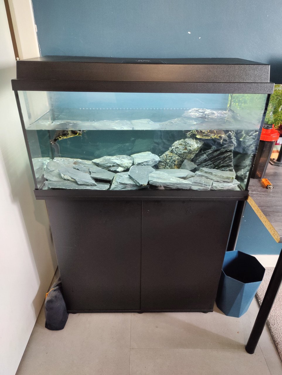 Zeer net aquarium 125L met kast en 2 schildpadden