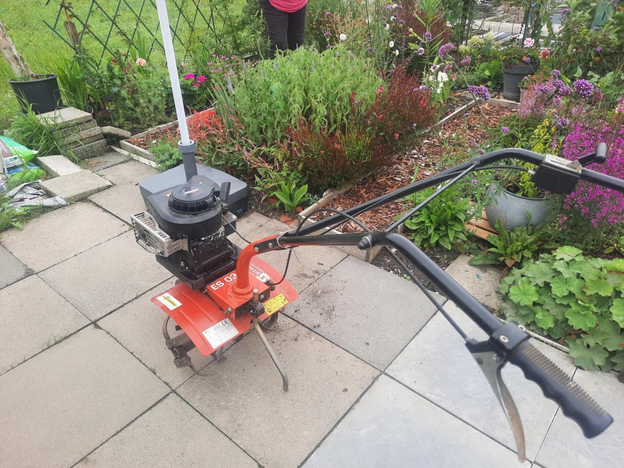 Tuinfrees