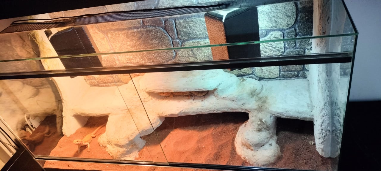 Terrarium 100x40x50 gebruikt reptielen reptiel