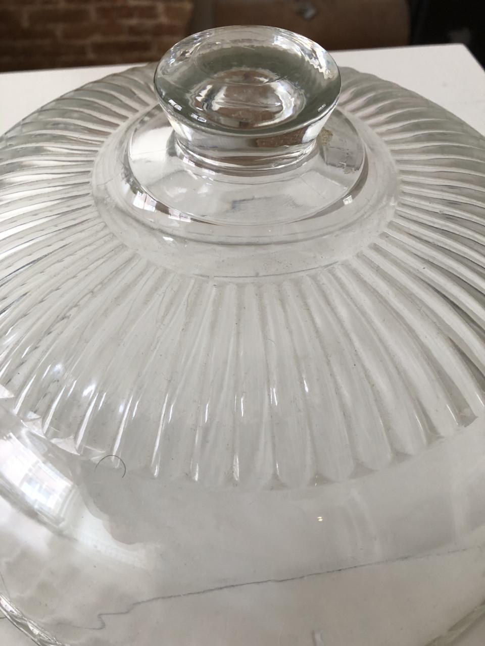 Mooie bewerkte glazen stolp / cloche