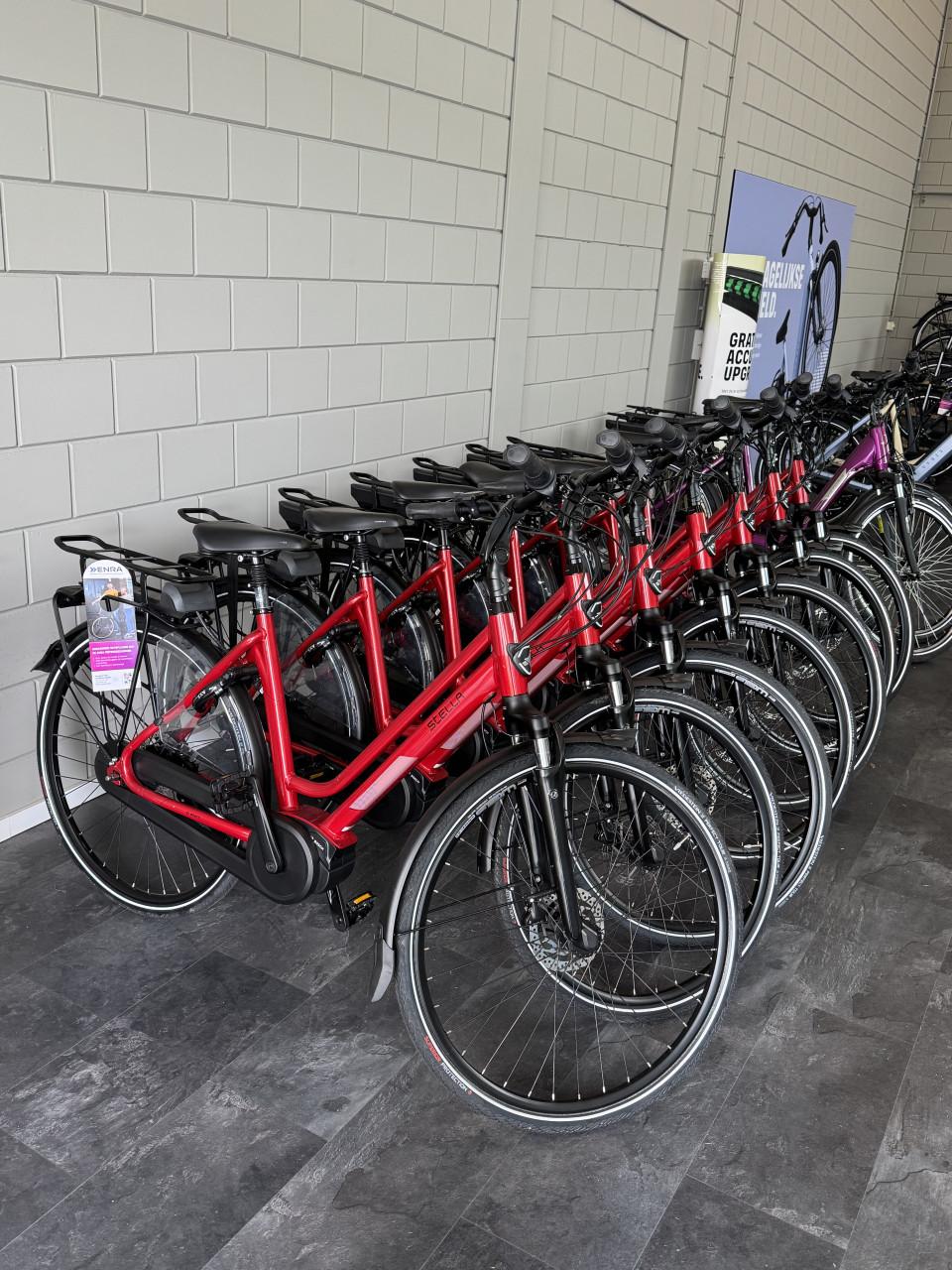 A-merk E-bikes | Bosch middenmotor | GRATIS bezorgd NL & BE