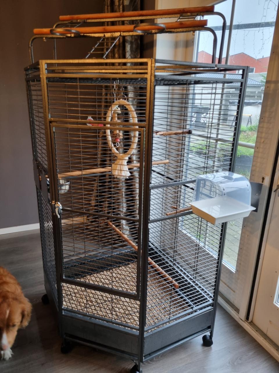 Te koop: Papegaaienkooi hoek model