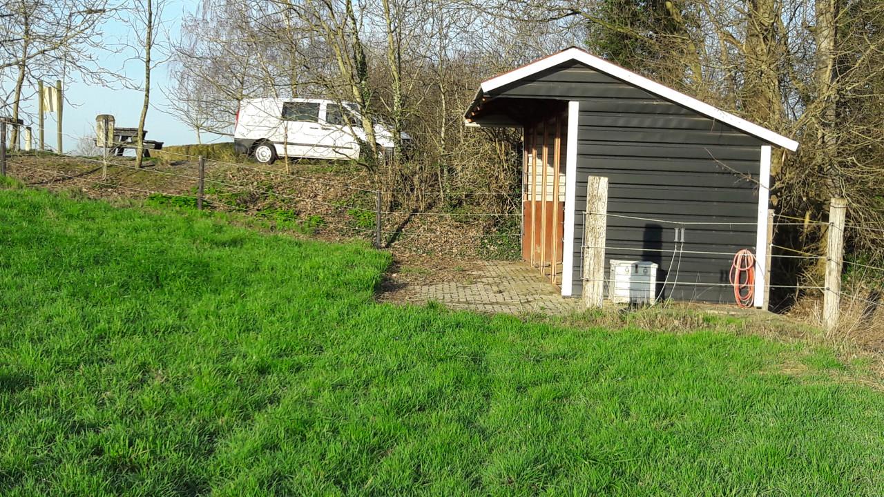 Te huur: weide met schuilstal