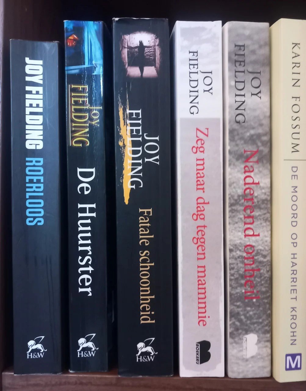 Boeken van Joy Fielding
