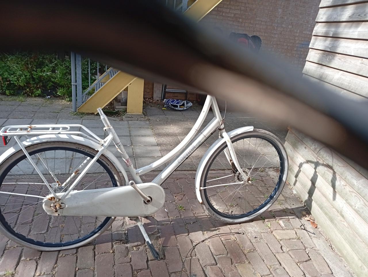 Fiets