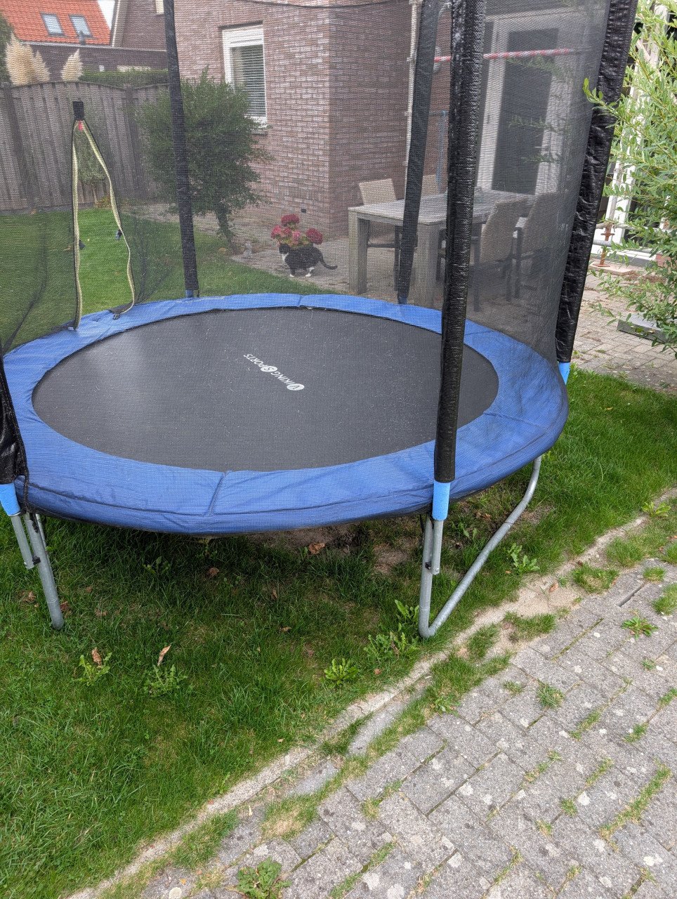 Trampoline