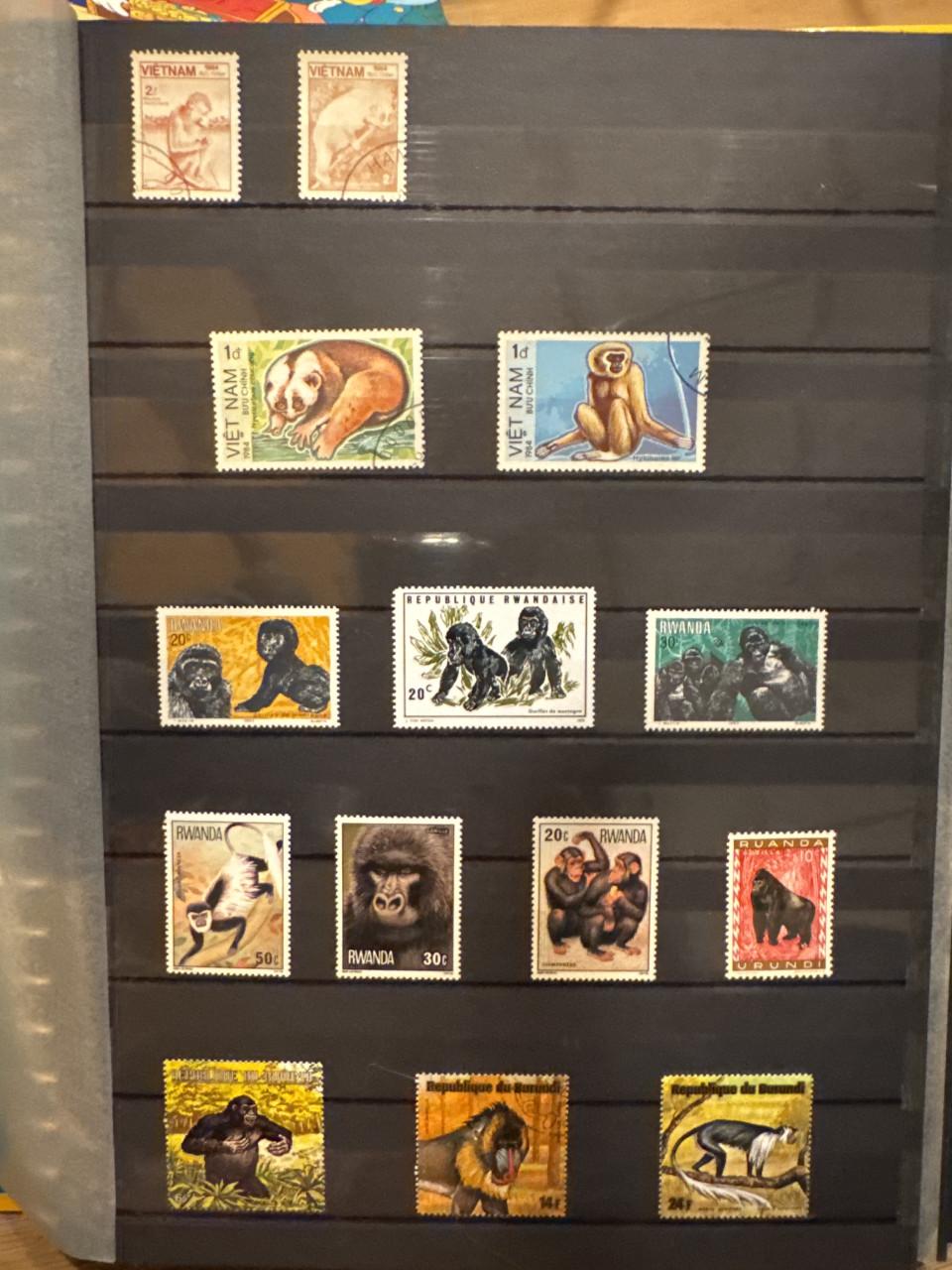 Complete postzegelverzameling – 4 albums – Wereldwijd & thematisch