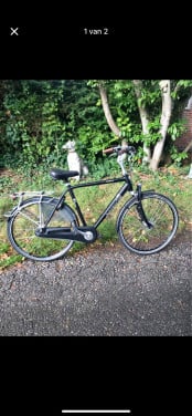 Tekoop Batavus Monaco