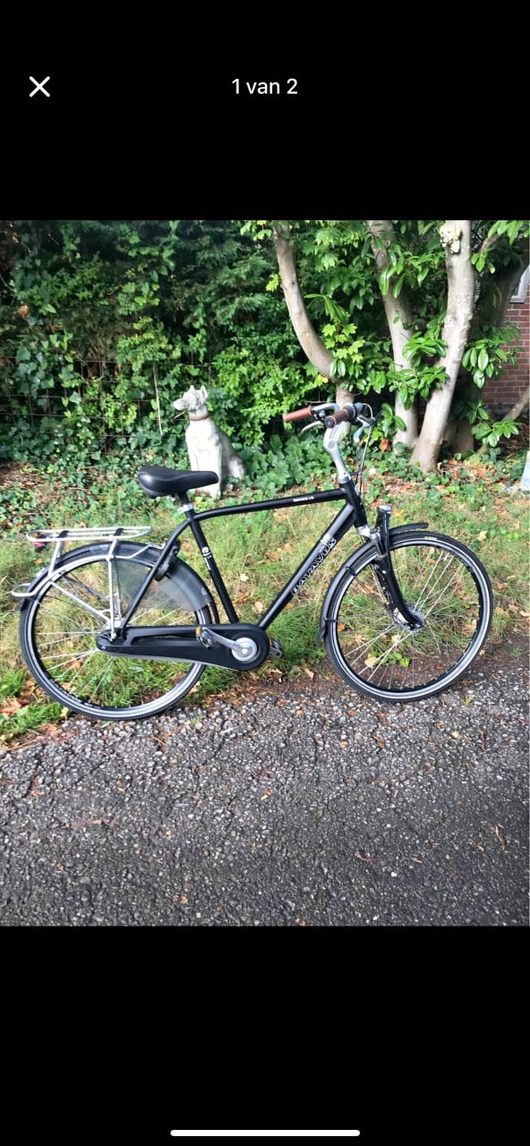 Tekoop Batavus Monaco
