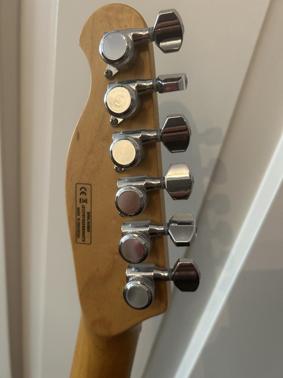 Telecaster- Fusion T, Harley Benton.