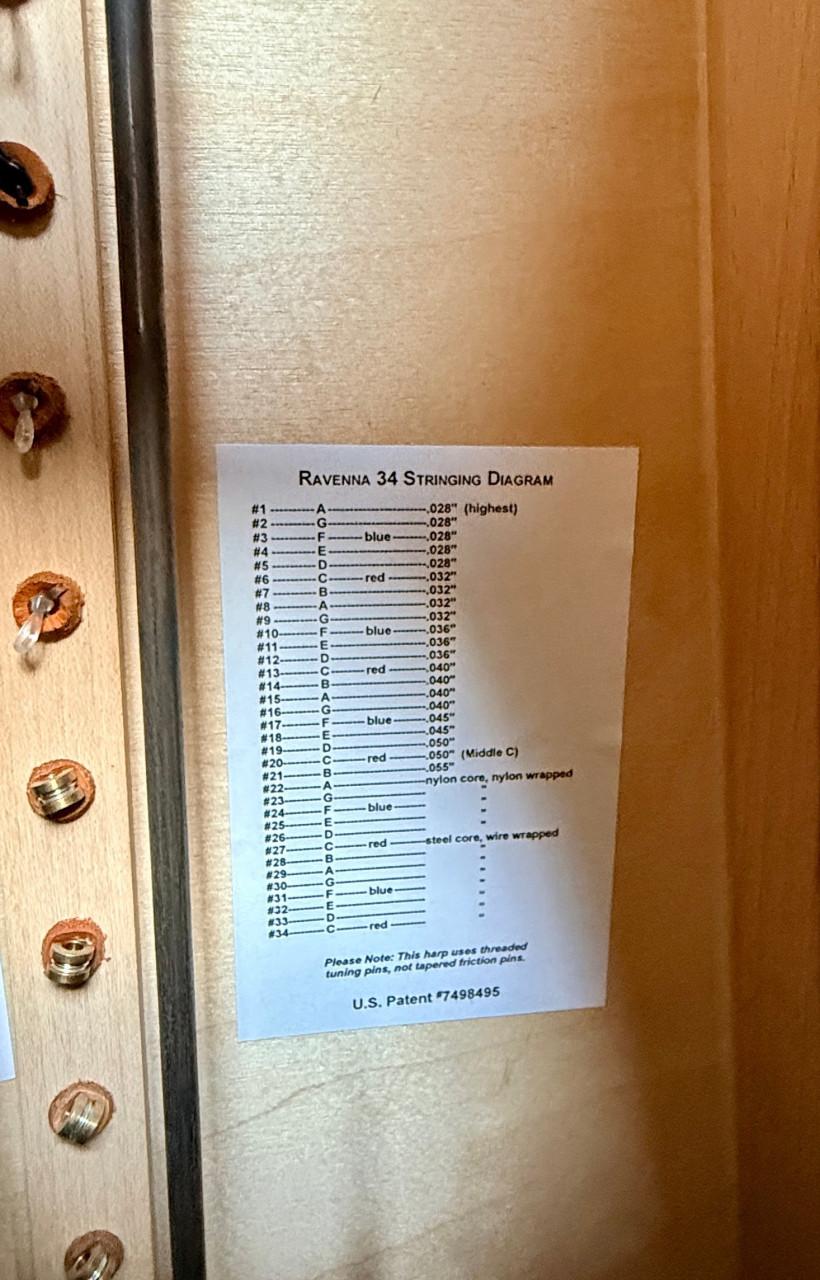 Harp Dusty Strings Ravenna 34