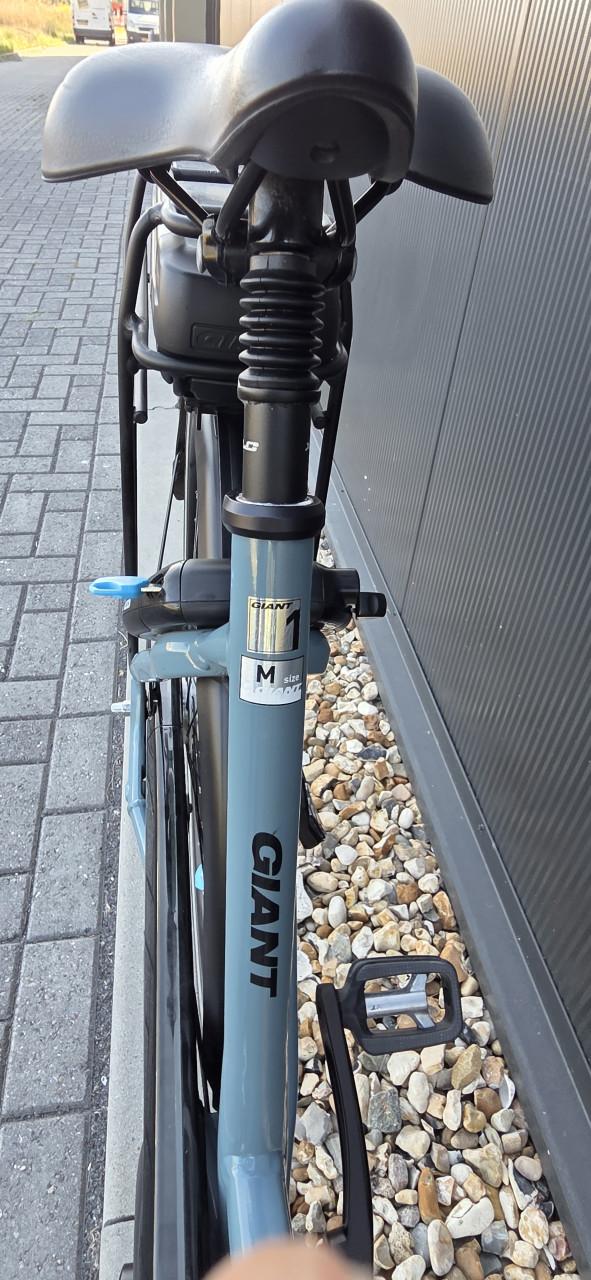 Nette Giant Ease E+ Hybrid 500Wh 52cm